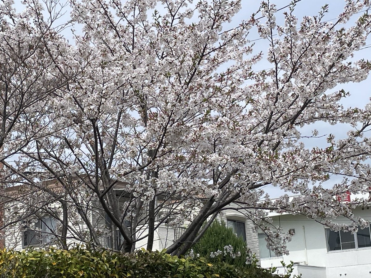 moon ticket eye ru tweet media