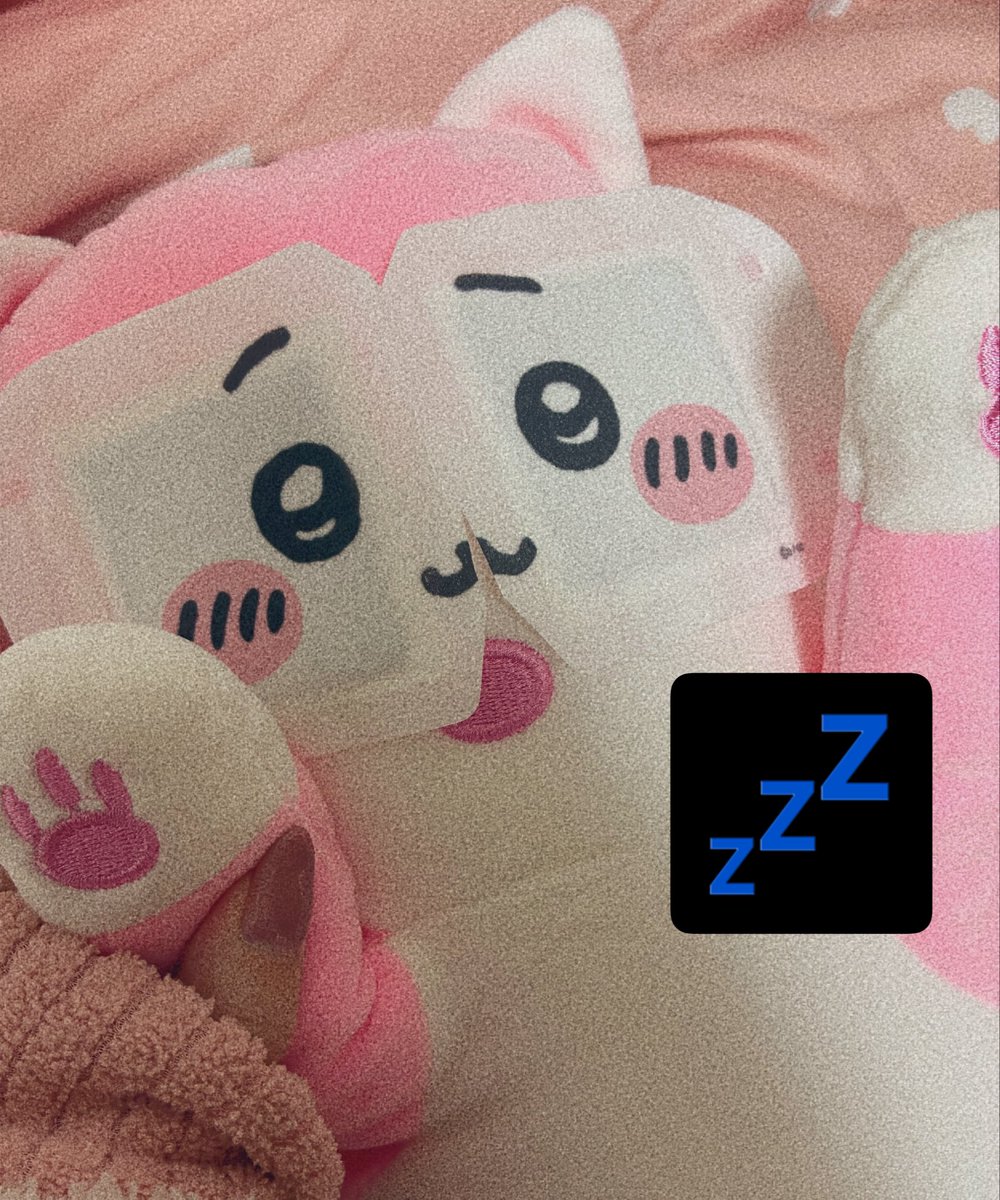 にゃんころ (@nyan_koro3) / Posts / X