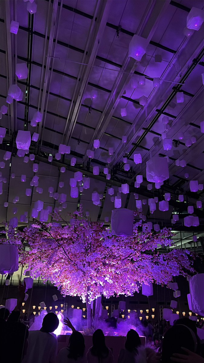 pandakeiko tweet media