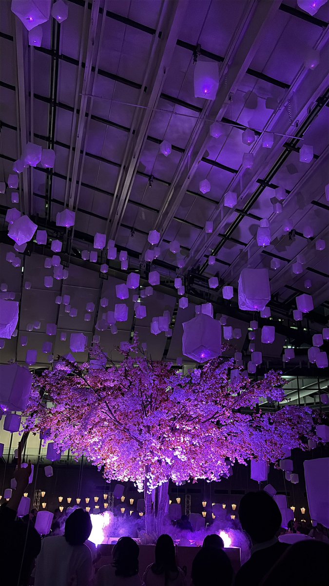 pandakeiko tweet media