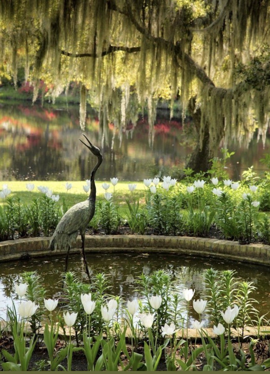 JeannaSzymanski's tweet image. Good Saturday mornin’, y’all! 🌅  

Rise &amp;amp; shine beautiful souls the weekend is here!  

Wishing you fun-filled moments, warm smiles, joyful energy, and all the good feels your heart can hold.  

Relax, recharge, laugh loud, and enjoy every bit of it! 

#SaturdayVibes #WeekendFun