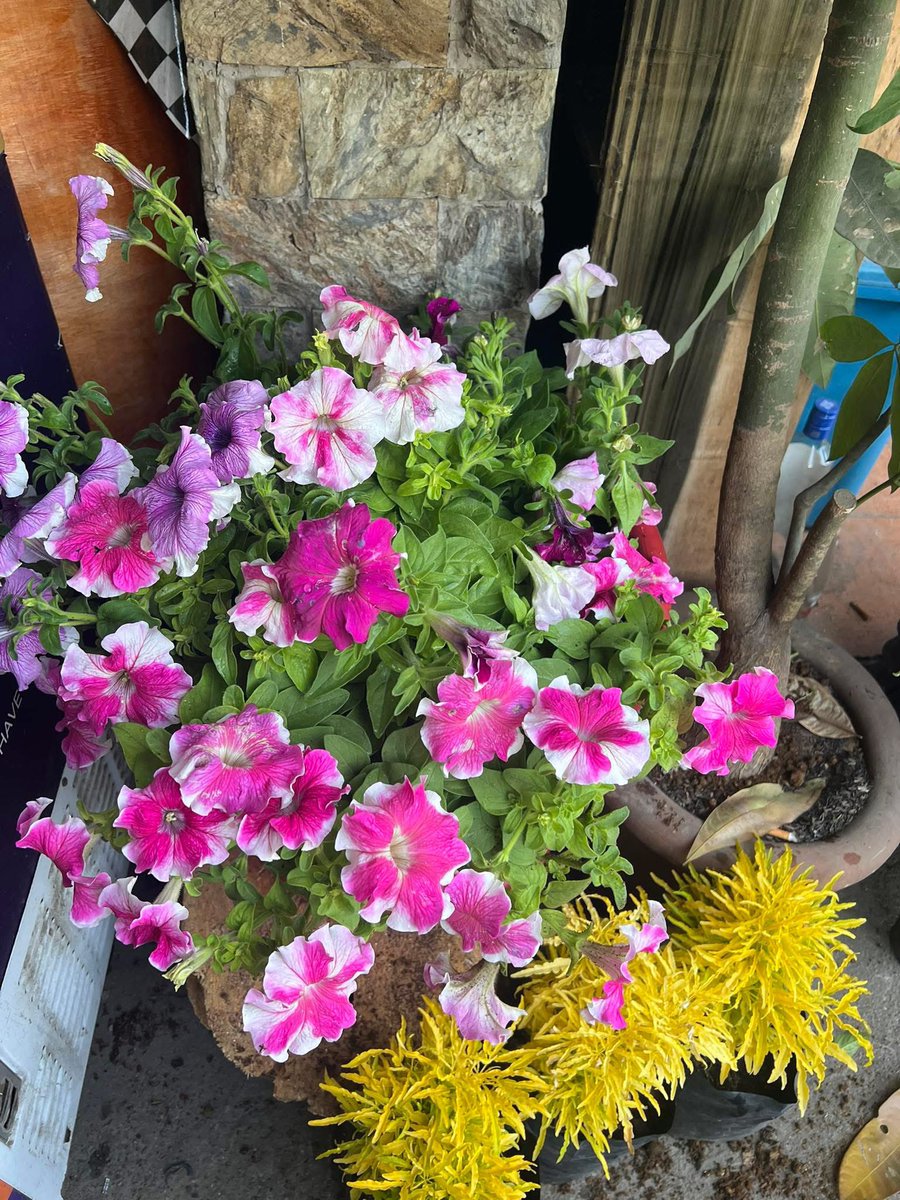 Incites and Insights tweet media