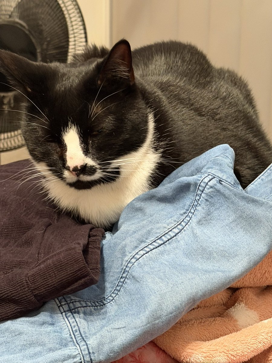 Poppy n the outsidies tweet media