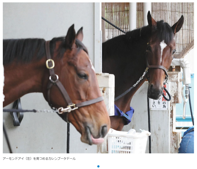 セキ氵龍糸圣 tweet media