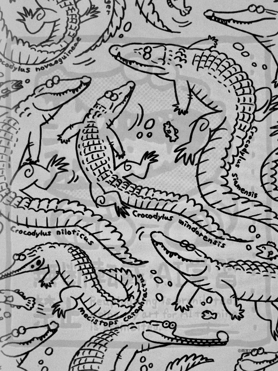 雨宮ひかる🐊京都個展~4/14 tweet media