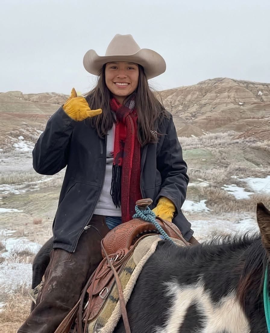 Native American Pride tweet media