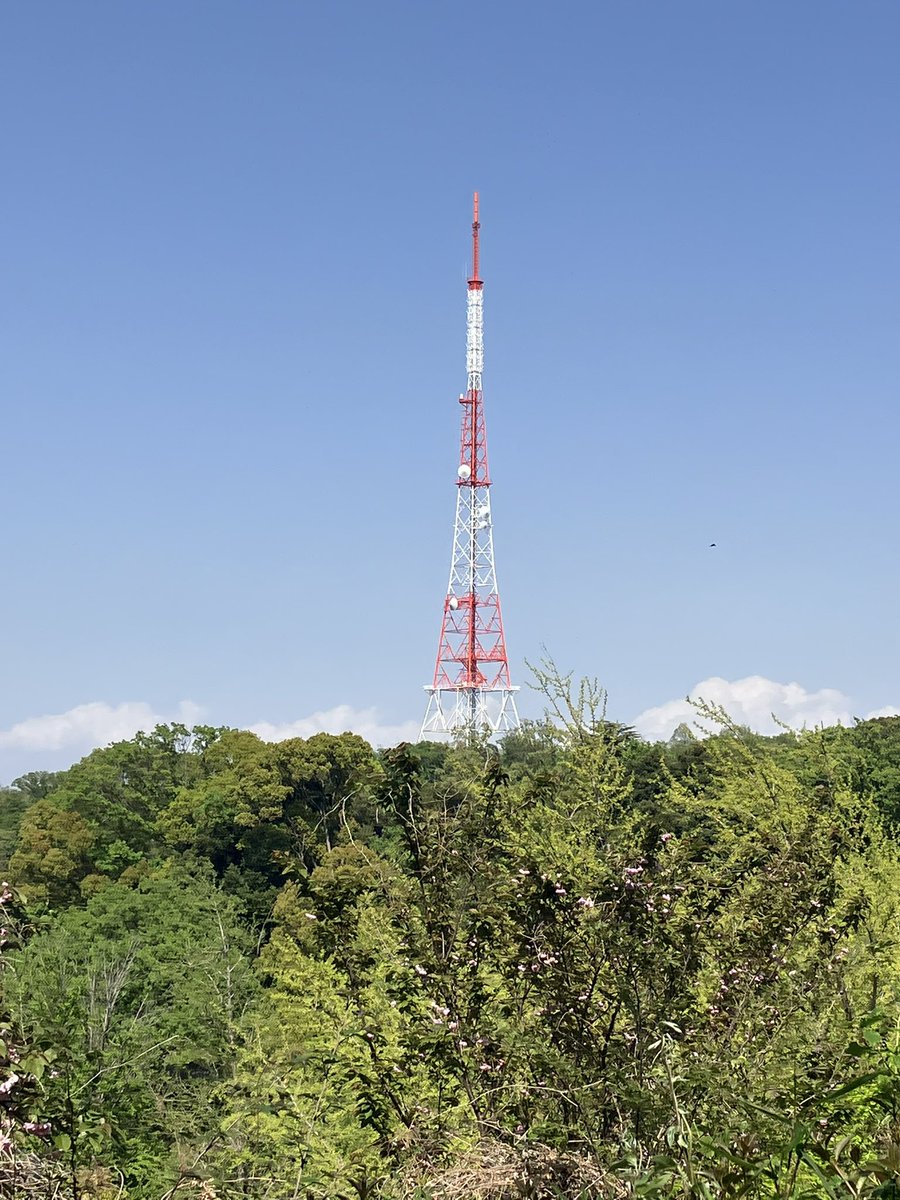 Fredchan(🪶10) tweet media