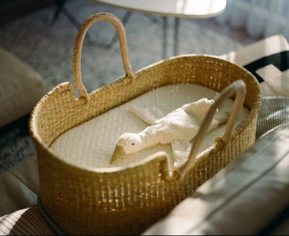 ueyasu_cam's tweet image. Days with PENTAX67II