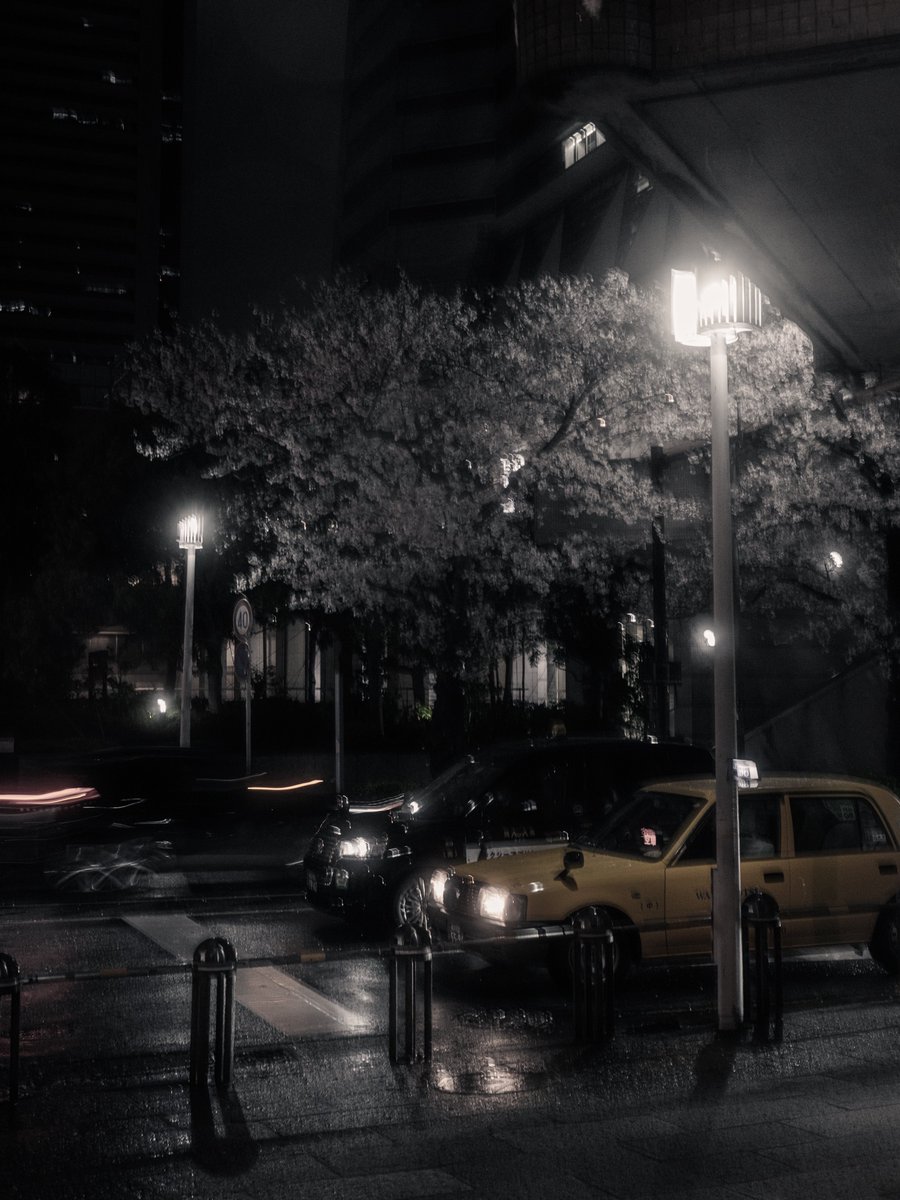 Shuncha_T's tweet photo. 横浜 × 桜 https://t.co/EhT4H81ieK