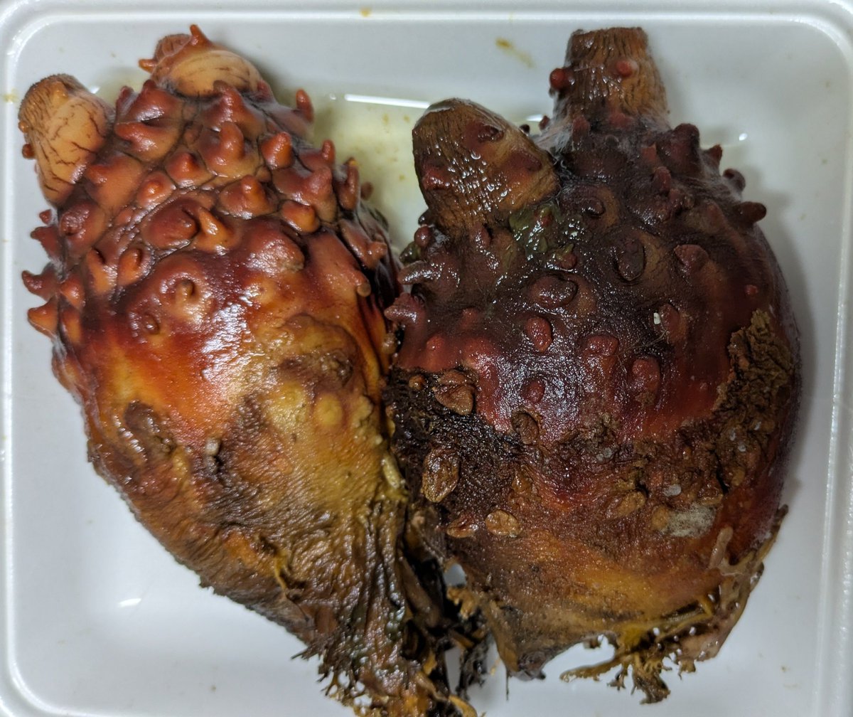 感染体のボイラーからドロップしそう