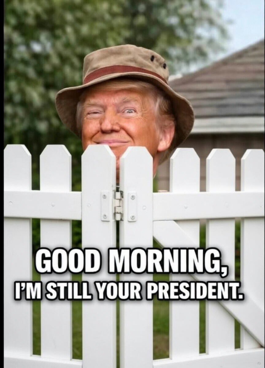 Gunther Eagleman™ tweet media