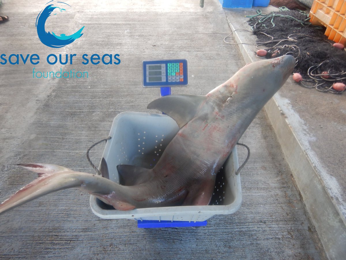 John Nevill tweet media