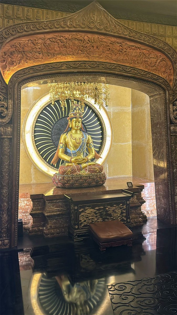 secluded tweet media