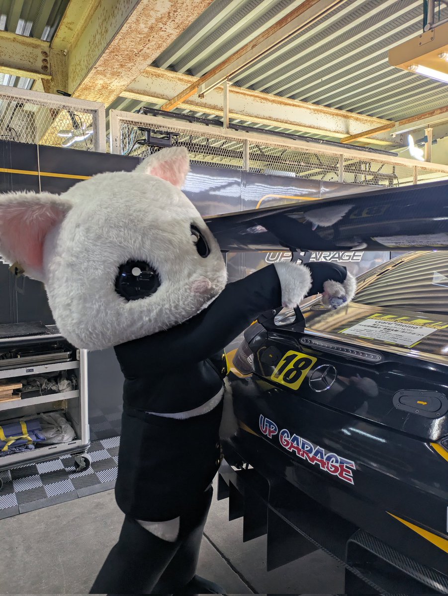 アップちゃん tweet media