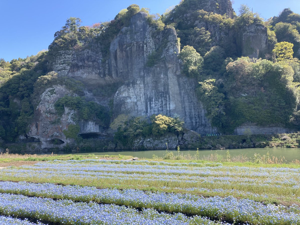 ぷりん tweet media