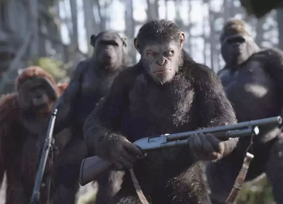 Ferhat VALİN tweet media