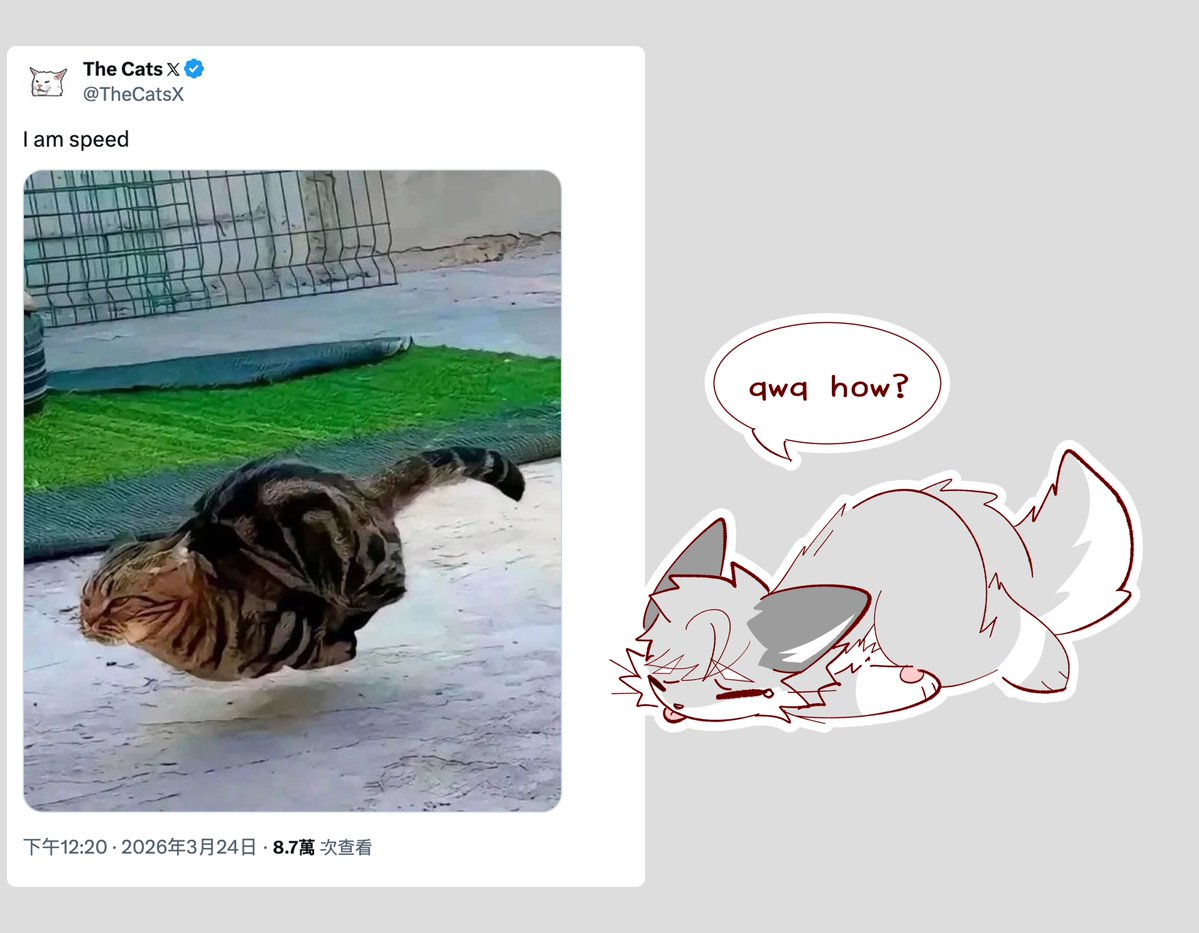 瑞树 (@ras_soy) on Twitter photo 