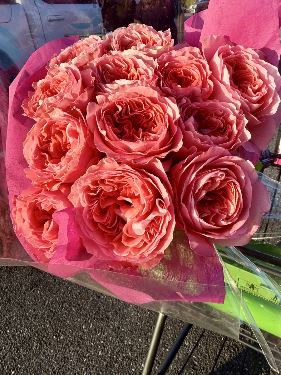 soldadera81's tweet image. Grocery store #flowers from #publix, “where shopping is a pleasure”. #Floridaliving #Florida