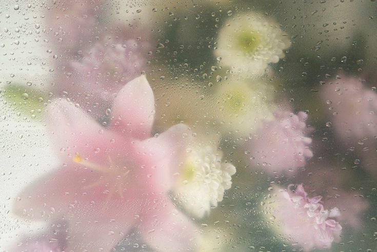 suzy🎧 tweet media