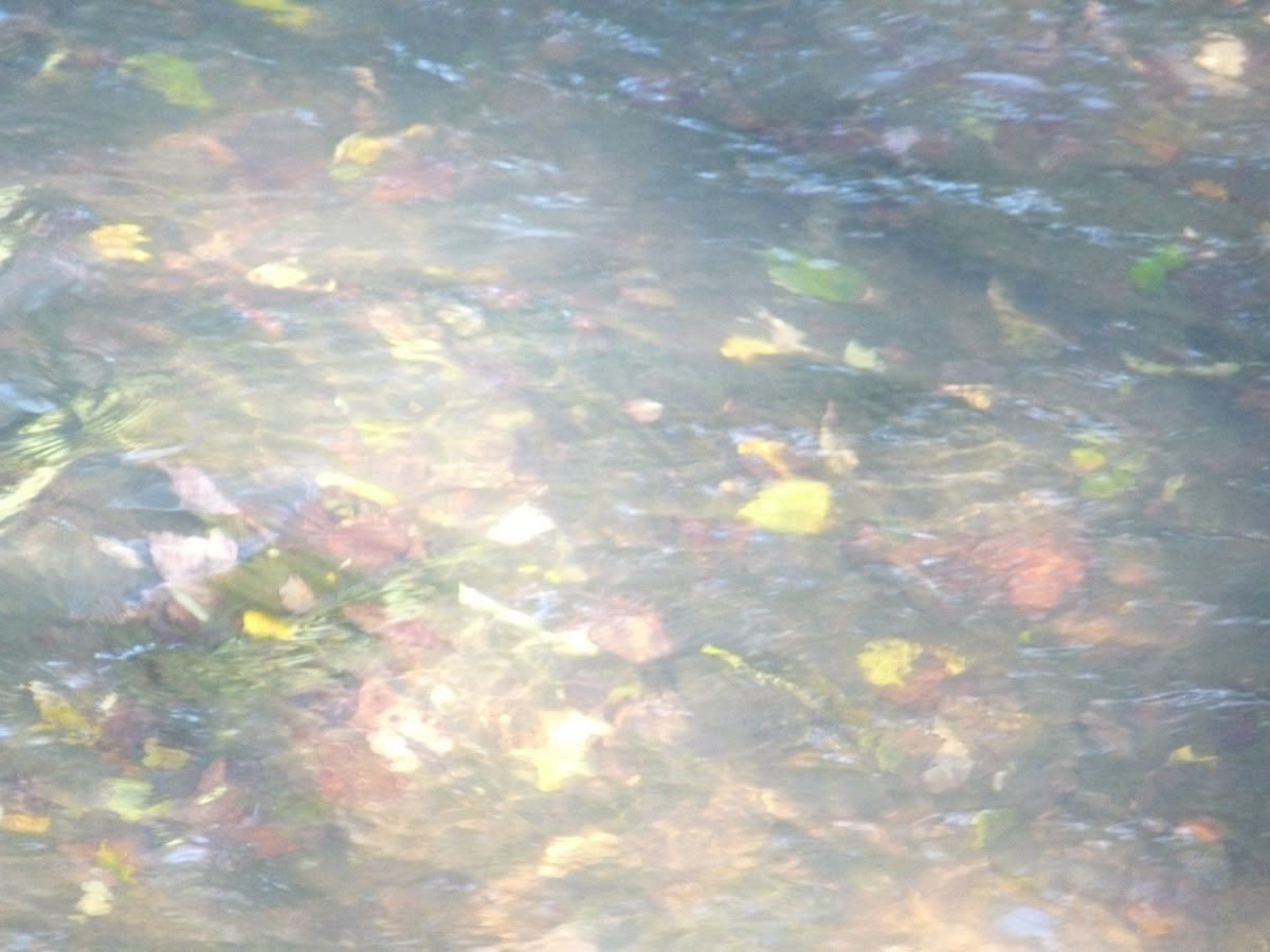 suzy🎧 tweet media