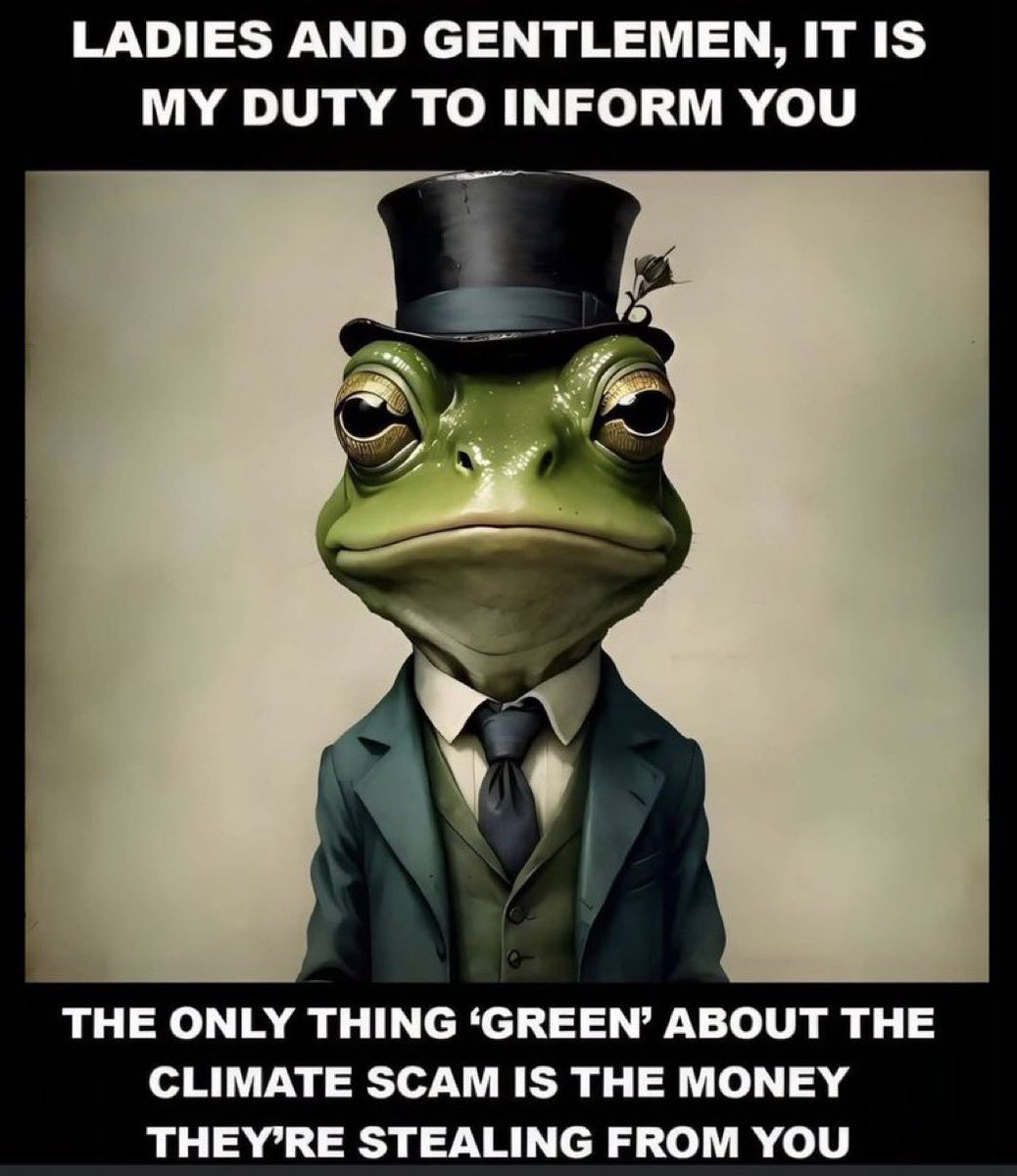 God is in the Rain🐧🐈‍⬛🐾 tweet media