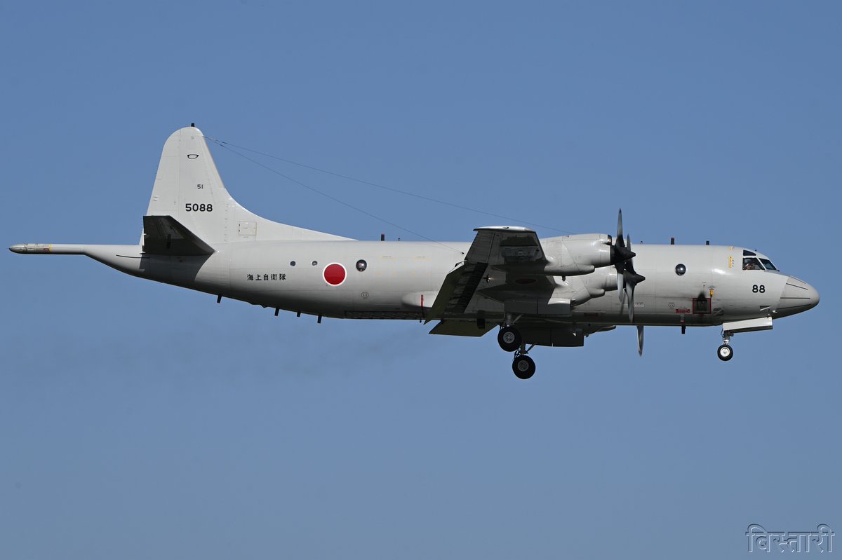 びすた～り tweet media