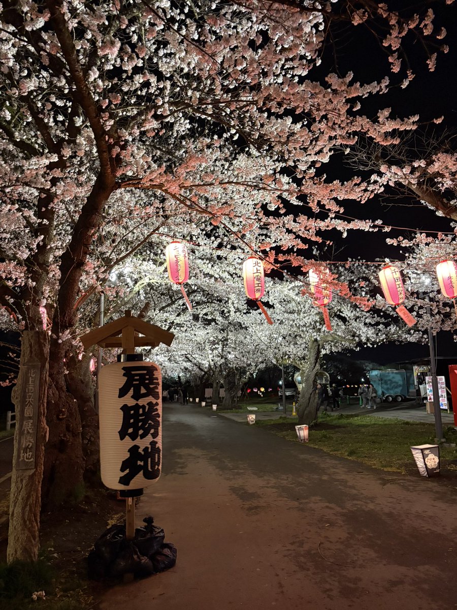 風がびゅうびゅうで寒かったけど綺麗だった〜🌸
 #北上
 #展勝地