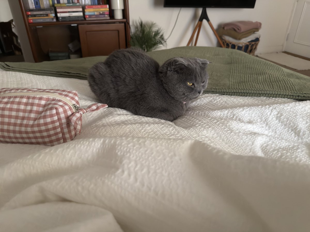 الهنوف tweet media