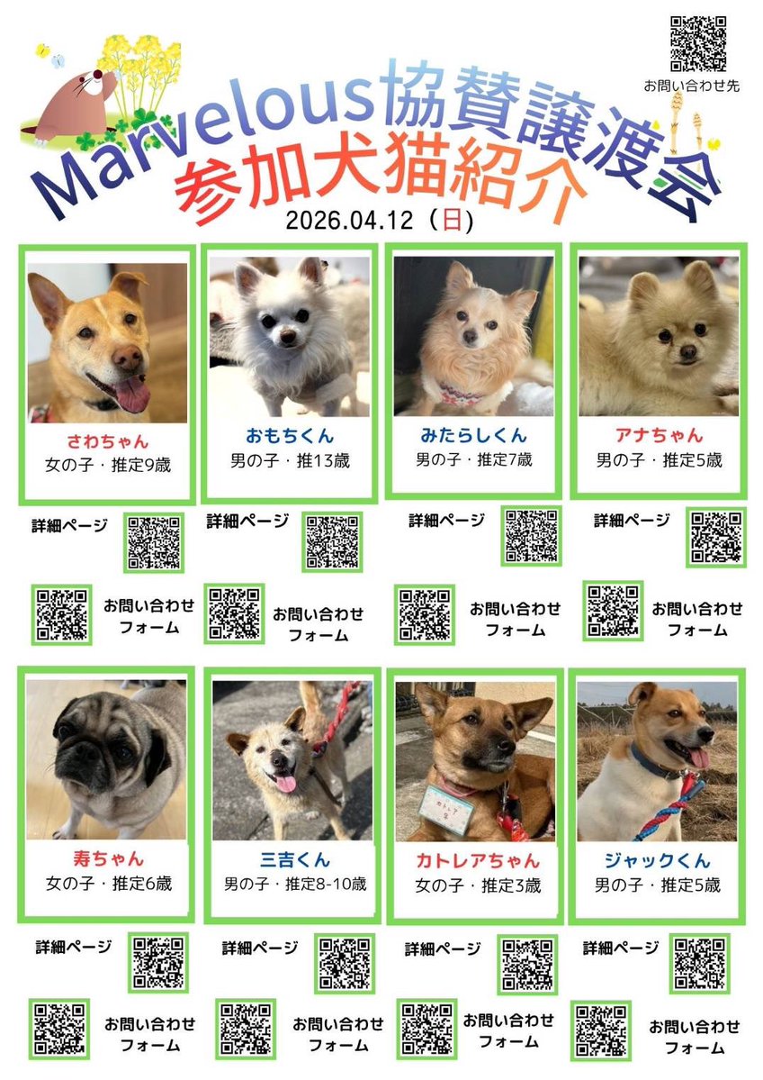 あっこ🍈🫧 tweet media