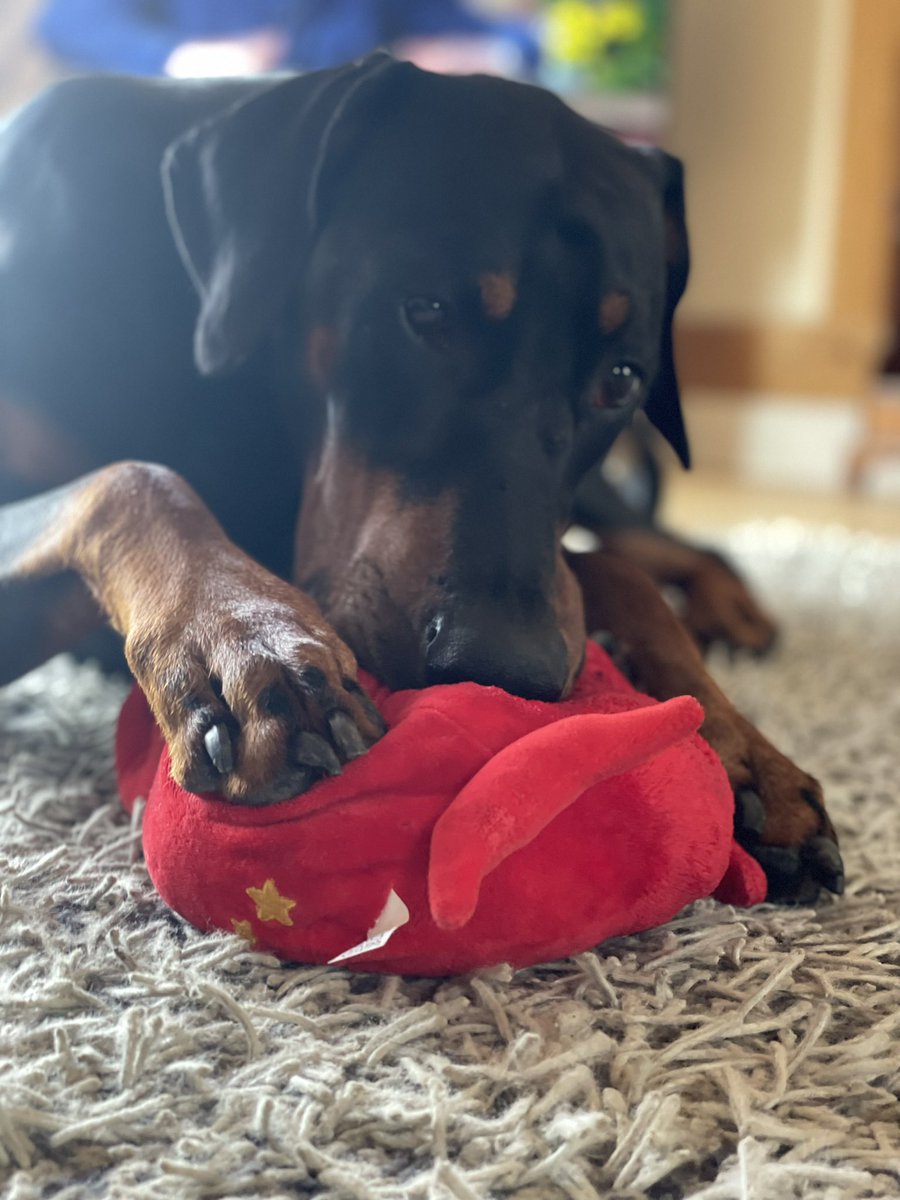 sheilaMol tweet media