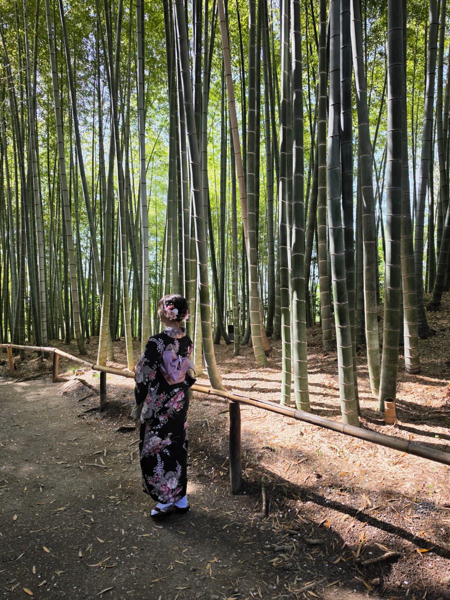 Amandine Bamaca tweet media