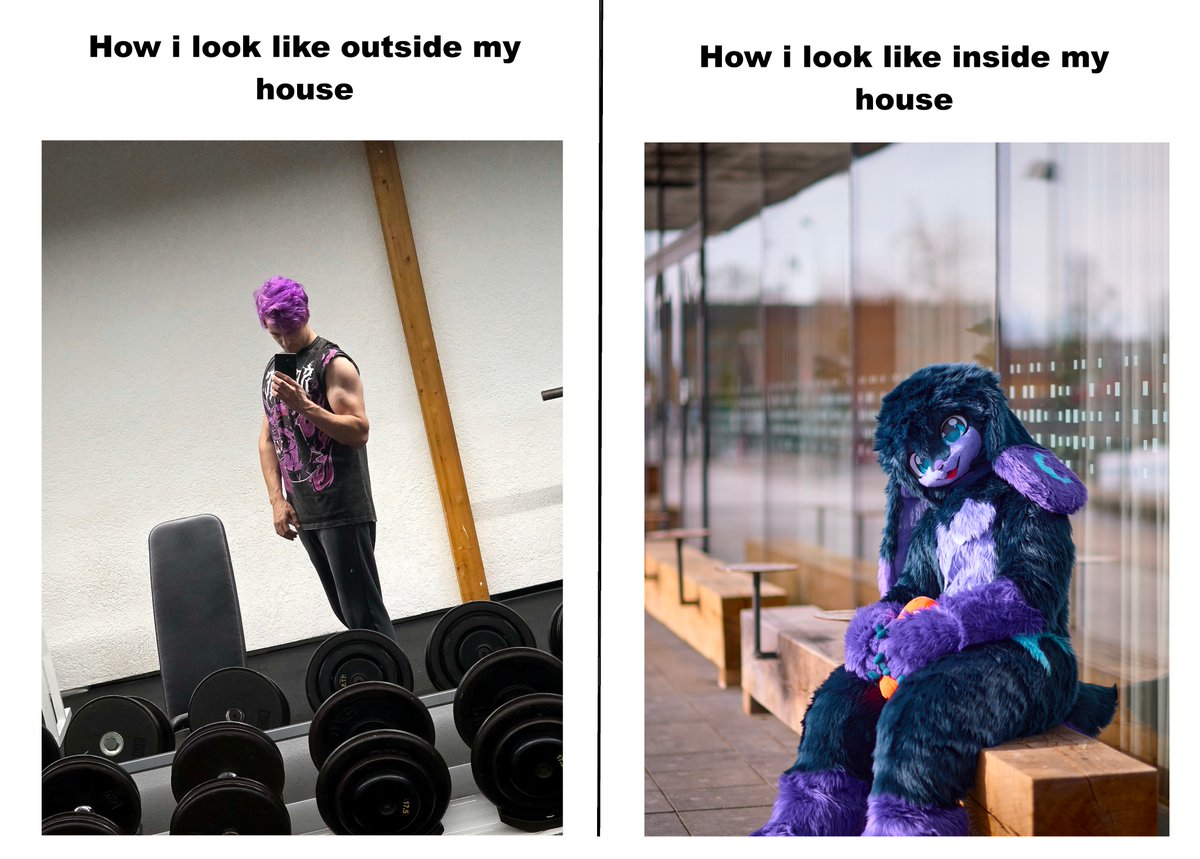 LunaryTheBun 🔜EF tweet media