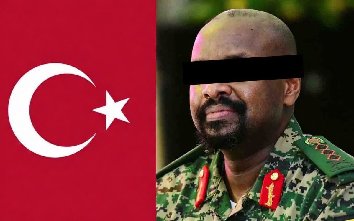 Mine Malkoçoğlu tweet media