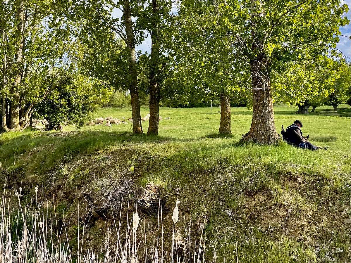BorjaBarba's tweet image. Primavera en Páramos y Valles, #Palencia