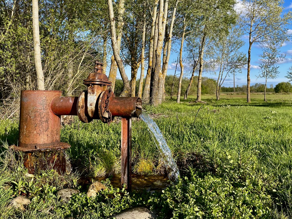 BorjaBarba's tweet image. Primavera en Páramos y Valles, #Palencia