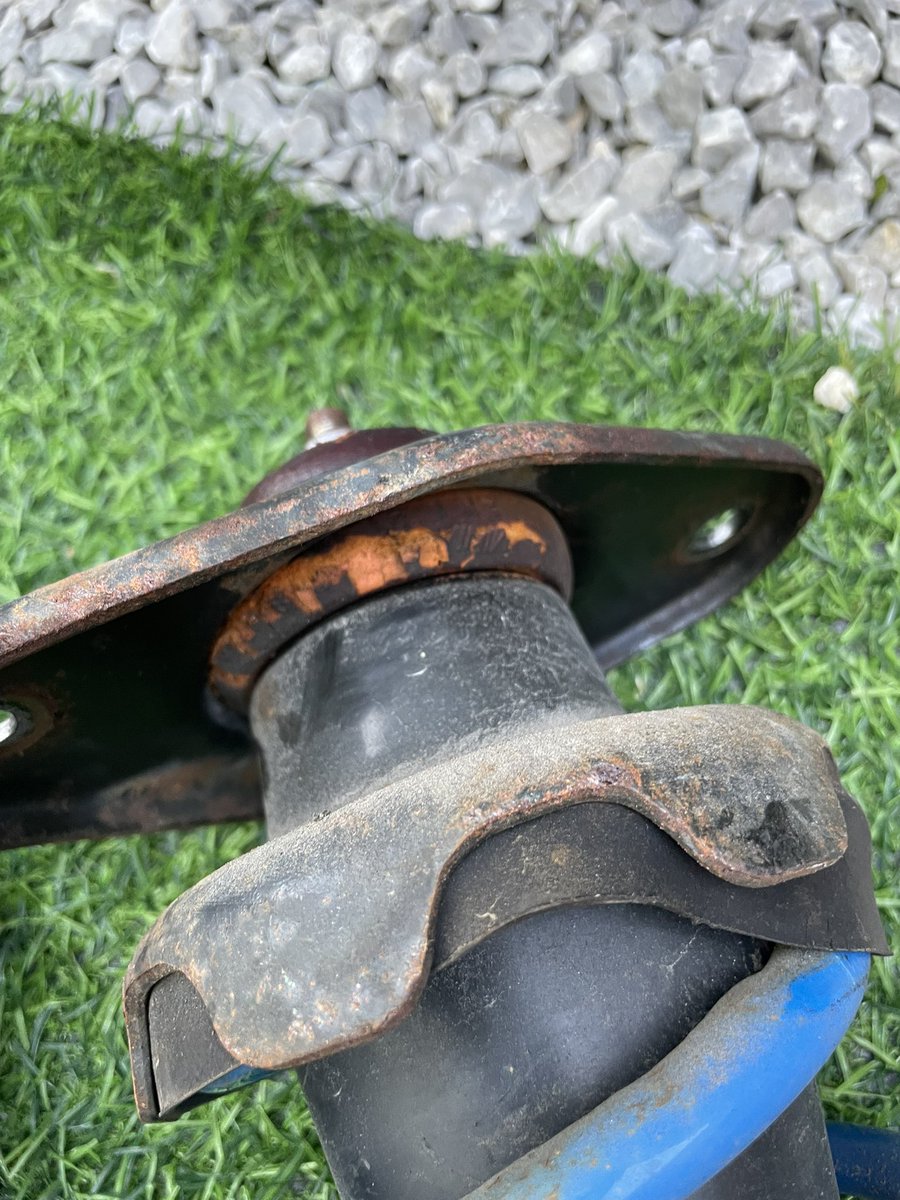 でるぼー tweet media