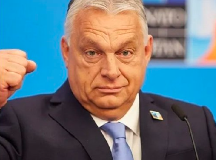 TrendNederland tweet media