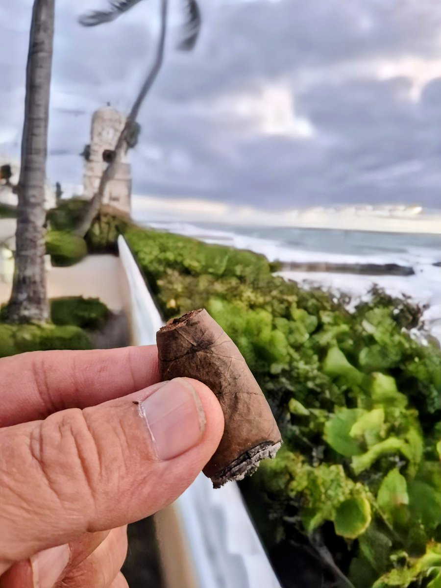 keepmovin2020's tweet image. Early morning nubbing.
Trinidad Miami LE
#southflorida 🌴
#CIGARLIFE 🔥💨
