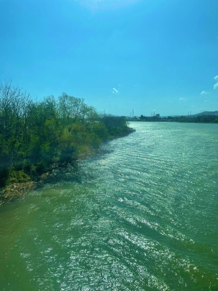 ばんび tweet media