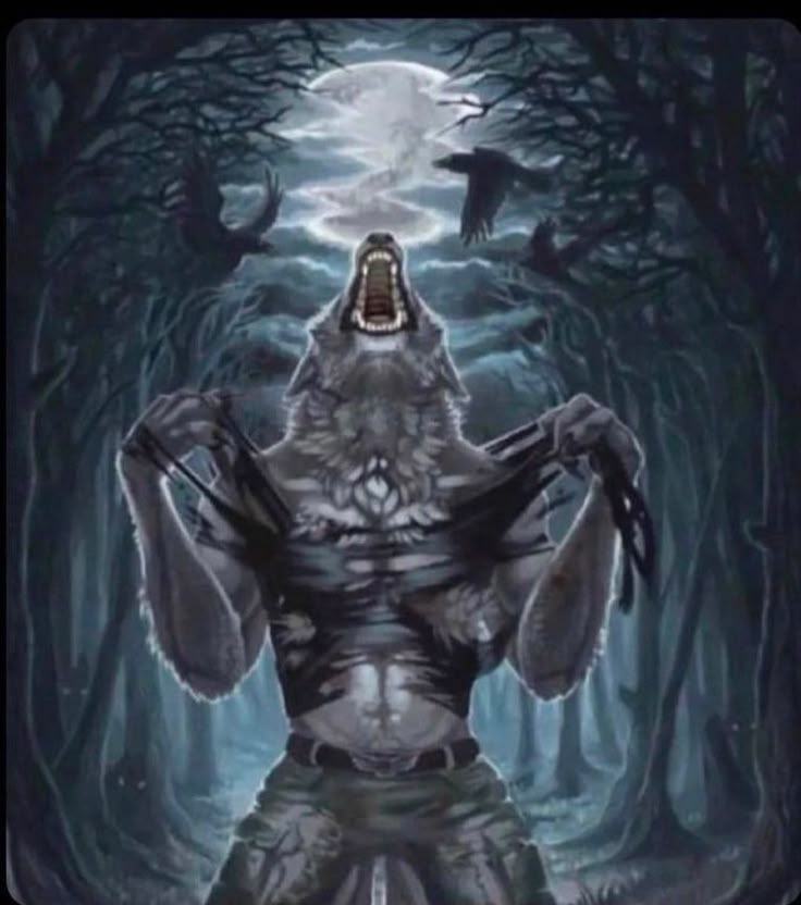 evren bozması tweet media