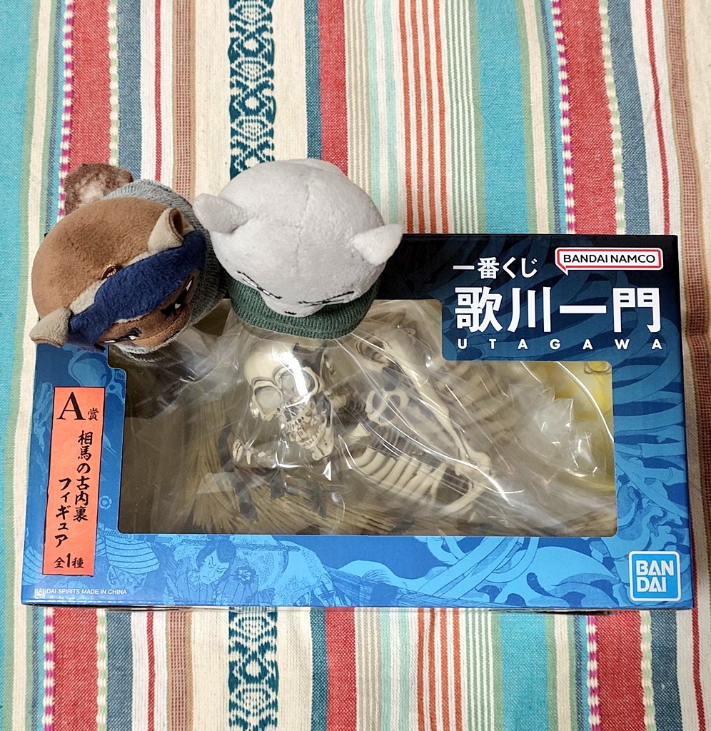 杉本@王道分離帯 tweet media