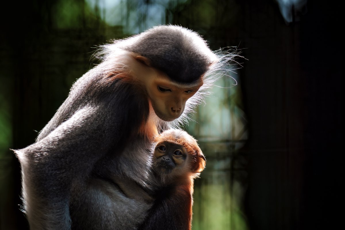 散歩の人 tweet media