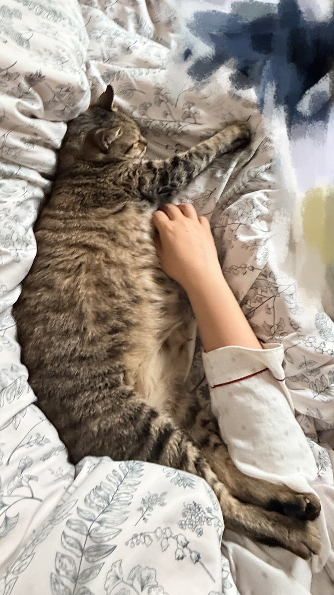 对味吗（互推） tweet media