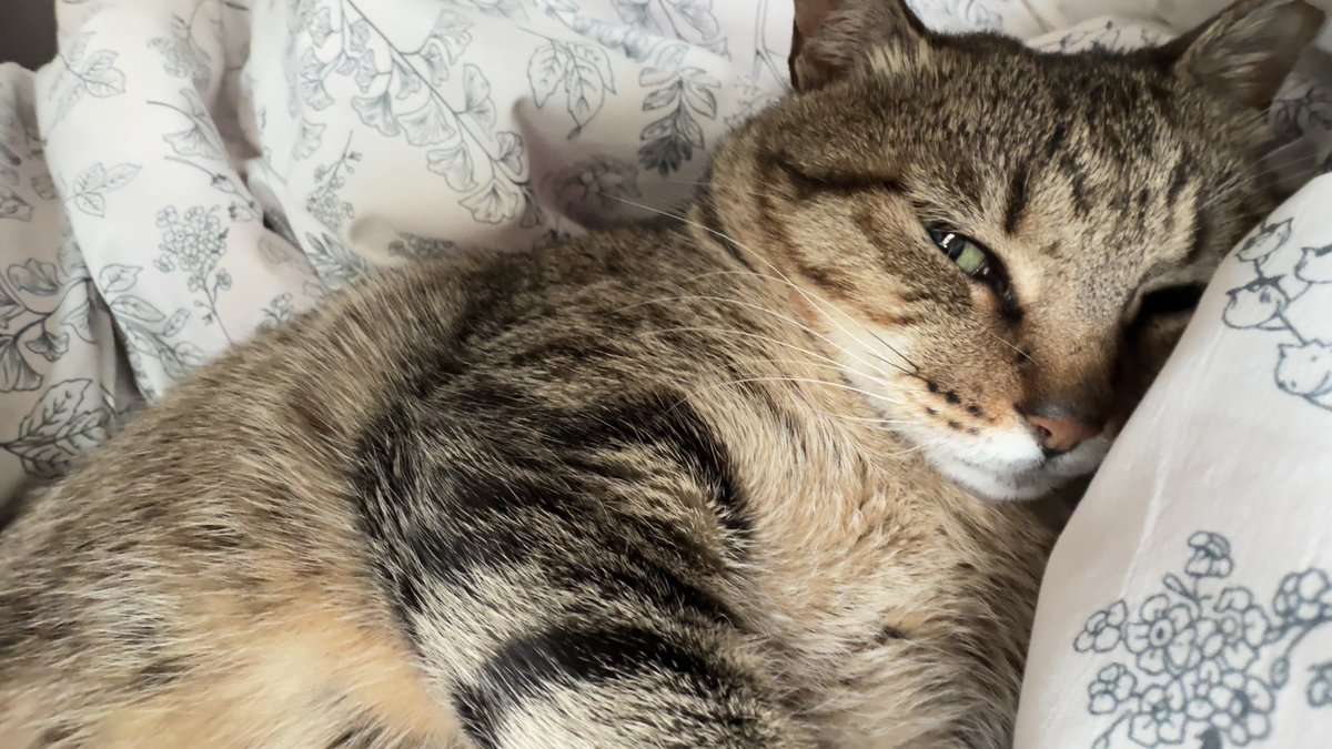 对味吗（互推） tweet media