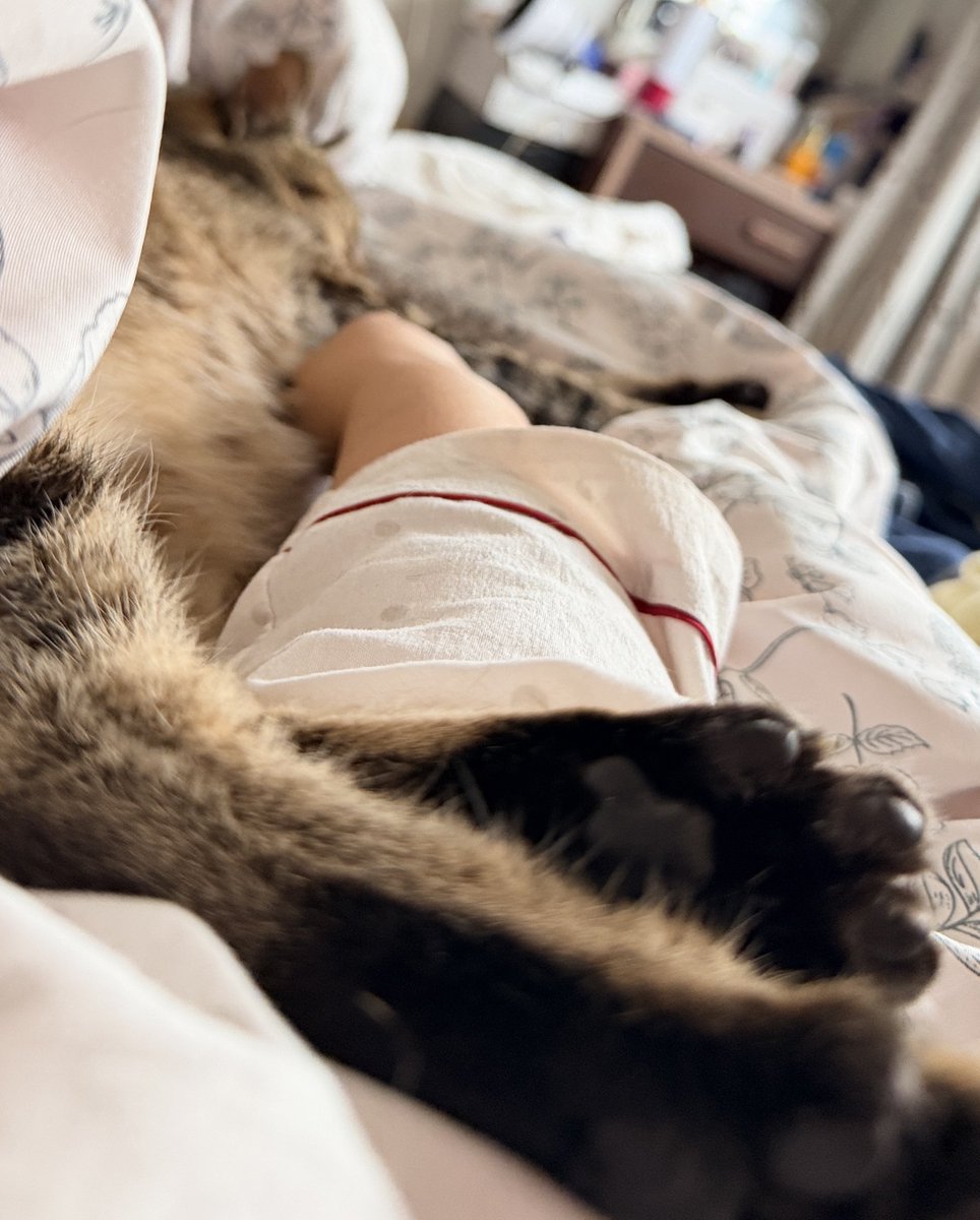 对味吗（互推） tweet media