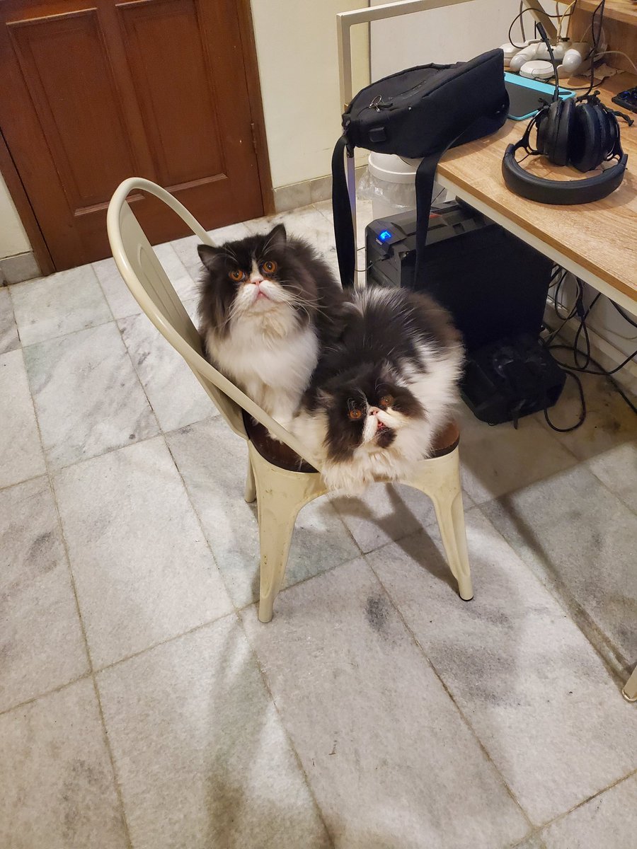 Rohani_alip 🇲🇾 🇮🇩 tweet media