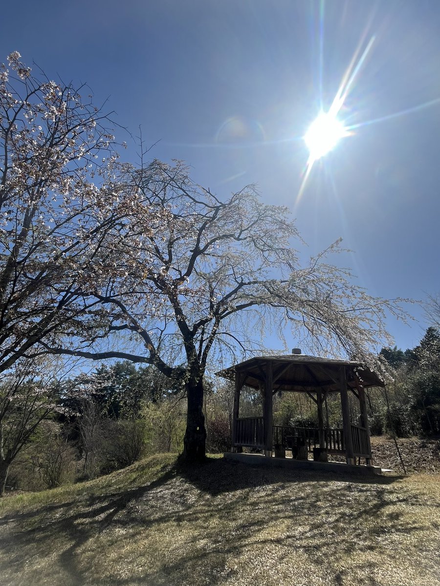 🐤るなへい🐥 tweet media