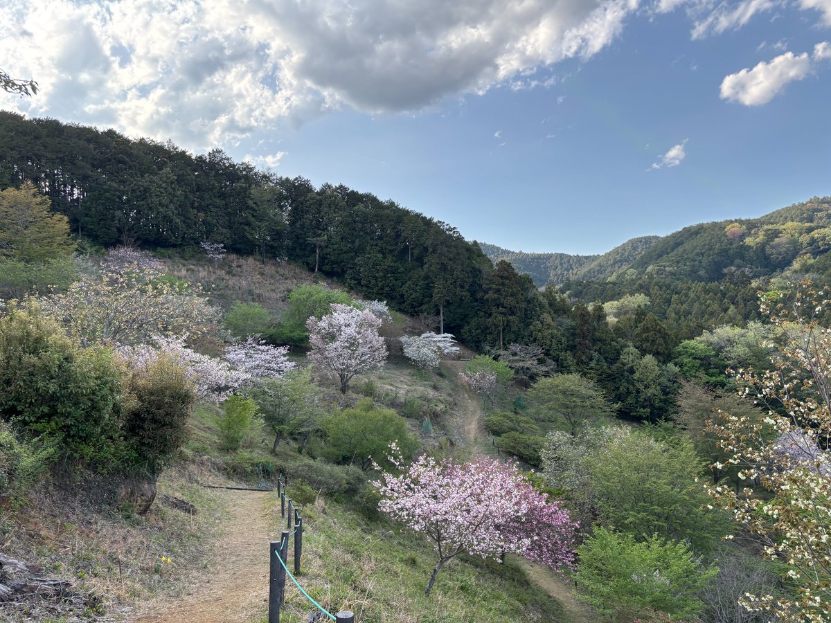 Y.Tsurui tweet media