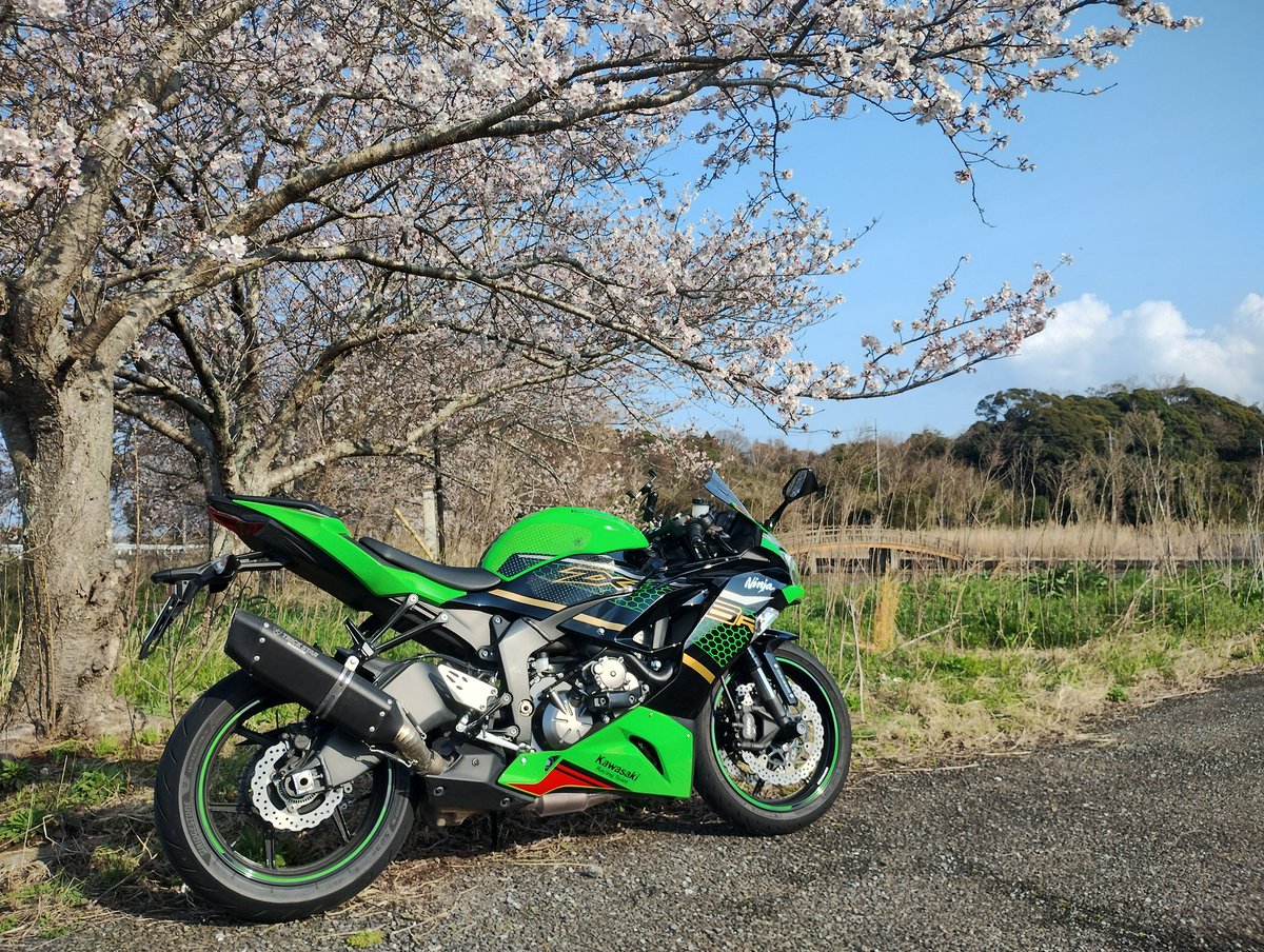 ろくらり tweet media