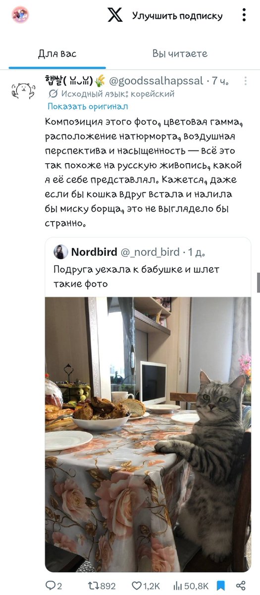 Лайтнесс 🌸🩷 tweet media